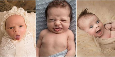 Newborn Photo Shoots Gone Wrong Funny Baby Photos