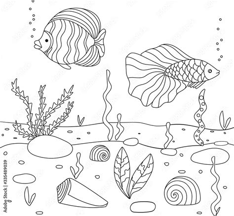 Vector Illustration With Algae Shell And Fish Sea Floor Cute Square