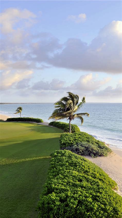 Landscape View Of Hut In Front Of Beach And Beautiful Greenery Foliage