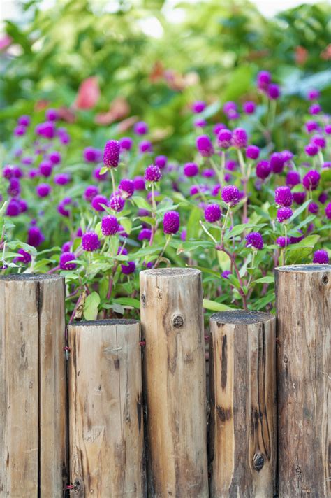 Maybe you would like to learn more about one of these? 6 astuces pour des bordures de jardin impeccables - M6 Deco.fr