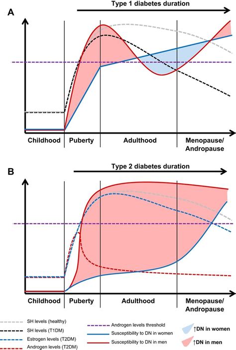 Ras And Sex Differences In Diabetic Nephropathy American Journal Of