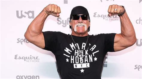 Mio Dollar Hulk Hogans Sex Tape Klage Geht Vor Gericht