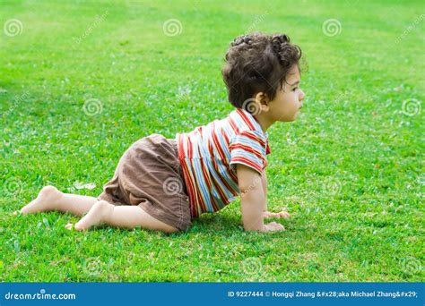 Baby Crawling Stock Photo Image Of Garden Contemplation 9227444