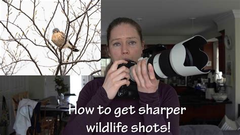 How To Get Sharper Shots Handheld Youtube