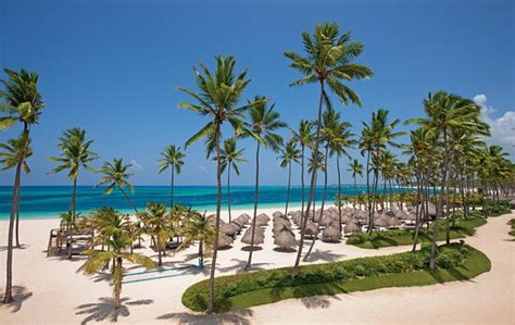 Best Vacation Ever Review Of Dreams Royal Beach Punta Cana Bavaro