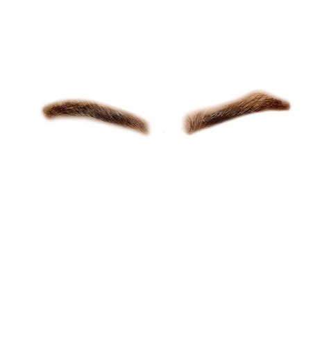 Download Male Eyebrows Png Png And  Base