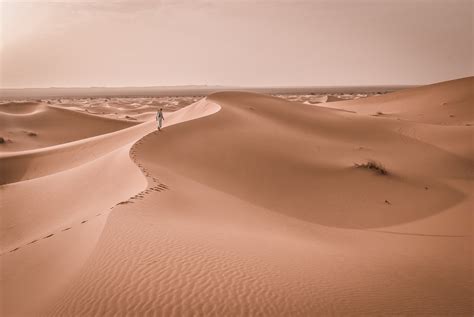 bakgrundsbilder landskap sand öken dyn torr marocko livsmiljö sahara wadi erg