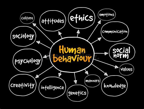 Human Behaviour Mind Map Concept For Presentations And Reports Stock