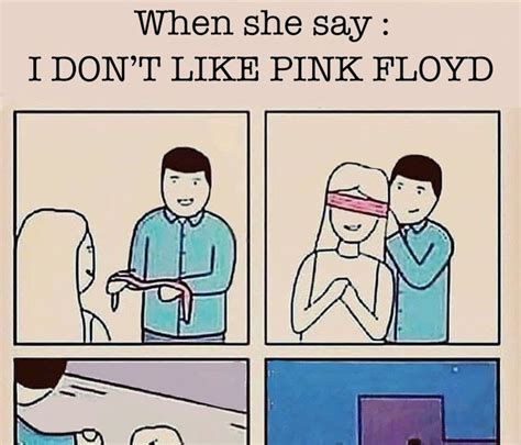 Pink Floyd Jokes The 98 Best Puns Images On Pinterest Funny Images