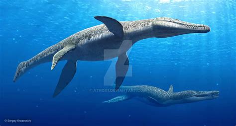Liopleurodon Dinosaurs Pictures And Facts