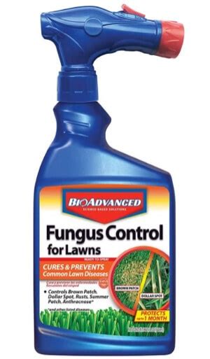 What Is The Best Lawn Fungicide For Brown Patch In 2020