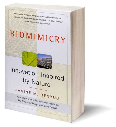 Biomimicry How Designers Are Learning From The Natural World 99