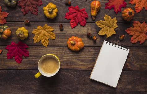 Wallpaper Autumn Leaves Background Tree Coffee