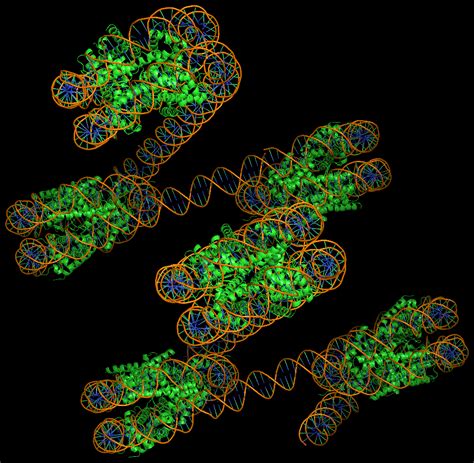 3dna Homepage Nucleic Acid Structures