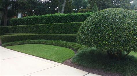 Do your lawn edges need straightening or repairing? Mr Sunscape Landscaping Services Inc - Landscape Design Firm in Oviedo, Florida