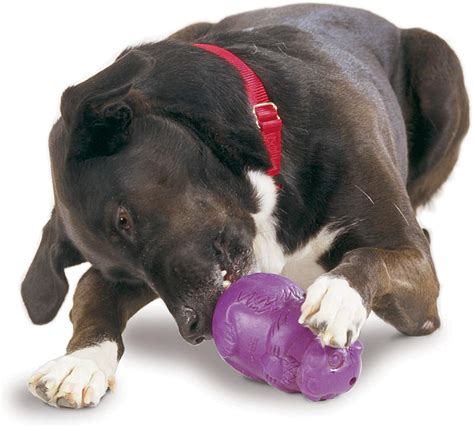 Best Treat Dispensing Dog Toys To Have A Happy Dog