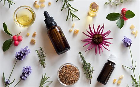 The Benefits And Ways Of Using Essential Oils In Malaysia InfoJokes