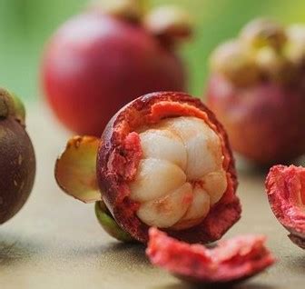 Berikut adalah manfaat buah manggis untuk kesehatan. 10 Jenis Tanaman Obat Jantung Koroner Tradisional