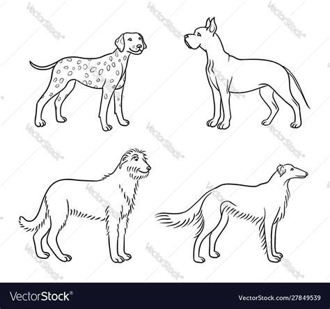 Dogs Different Breeds In Outlines Set3 Royalty Free Vector