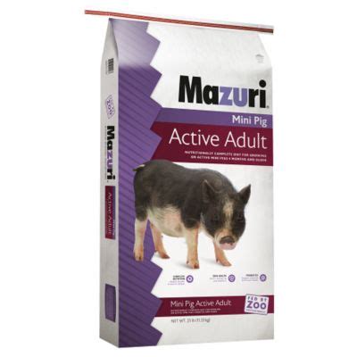 No supplements are needed when using this rat and mouse food. Mazuri Active Adult Mini Pig Feed Diet, 25 lbs., 3005272 ...