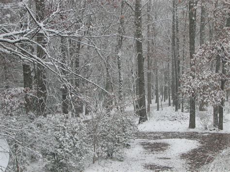 Snow In The Mountains In Blairsville Ga Georgia Mountains North