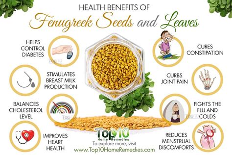 Top 10 Health Benefits Of Fenugreek Seeds And Leaves Top 10 Home Remedies