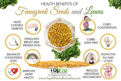 top 10 health benefits of fenugreek seeds and leaves top 10 home remedies