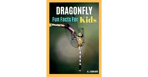Dragonfly Fun Facts For Kids Reading And Learning Animal