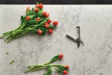 Quartz Amazing Quartz Countertops Many Styles Heartland Design