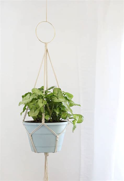 Creative Diy Plant Hangers
