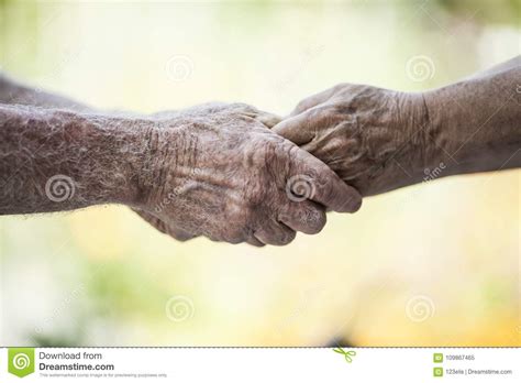 Holding Senior Hands Stock Image Image Of Focus Disease 109867465