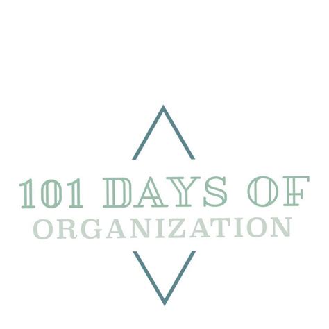 101 Days Of Organization
