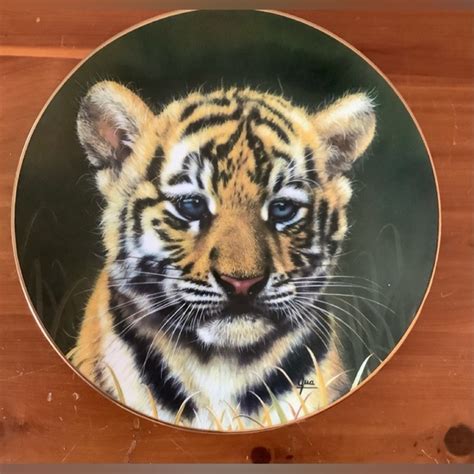 accents siberian tiger cub by cubs of the big cats plate collection princeton gallery poshmark