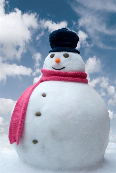 We did not find results for: Snowman - Christmas Photo (22227886) - Fanpop