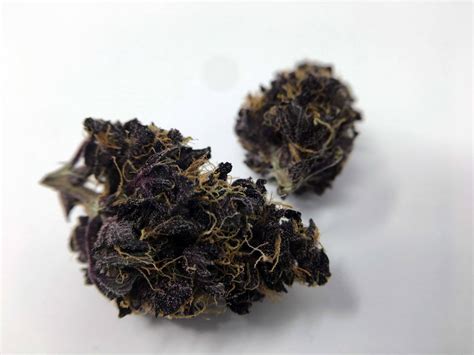 Blackberry Kush Cannabis Strain Information And Review Ismoke