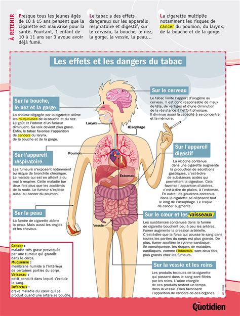 Infographie Mon Quotidien Les Effets Et Les Dangers Du Tabac Ligup