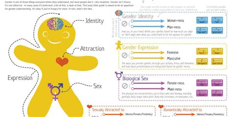 Understanding Gender Identity And Sexual Expression Spokanefāvs
