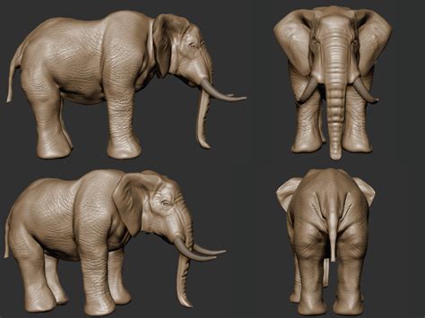 Artstation 3d Model Of An Elephant I Made In Zbrush