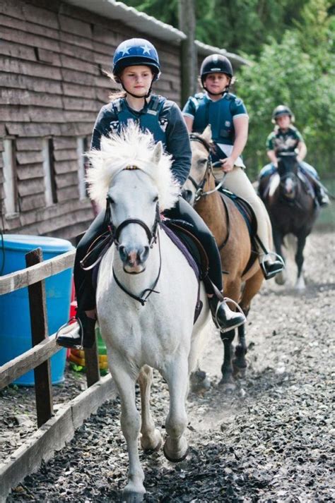 Horse Riding Lessons For Beginners Pony Riding Lessons Lavant Stables