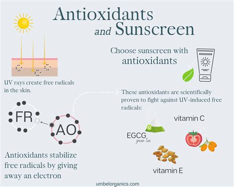 Natural Sunscreen Guide Part 1 Umbel Organics Umbel Organics