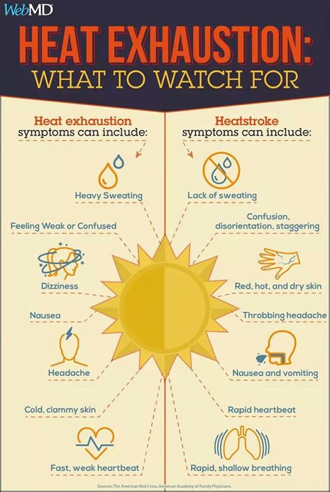 Heat Exhaustion What To Watch For Infographic With Images Heat