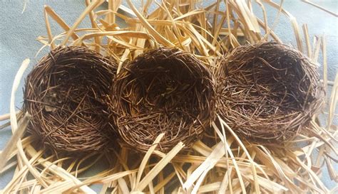 Bird Nests Set Of 3 Faux Twig Bird Nests 3 Diy By Floraltsar