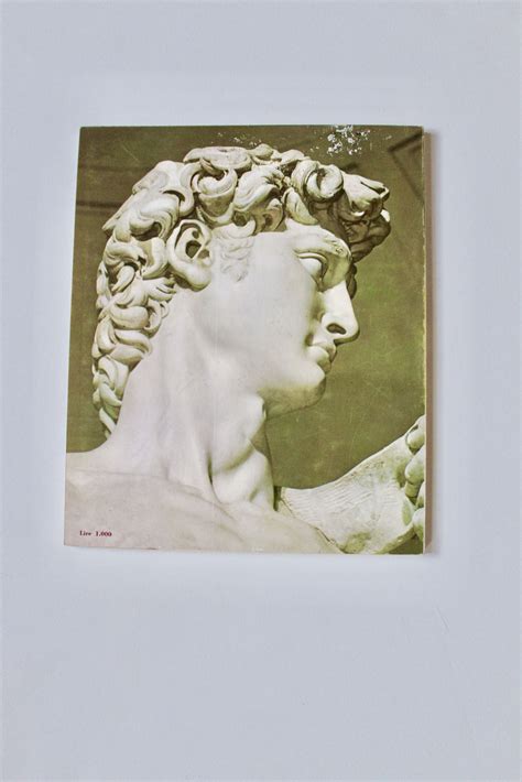 Book Michelangelo In Florence Life And Works Vintage Etsy Book Art
