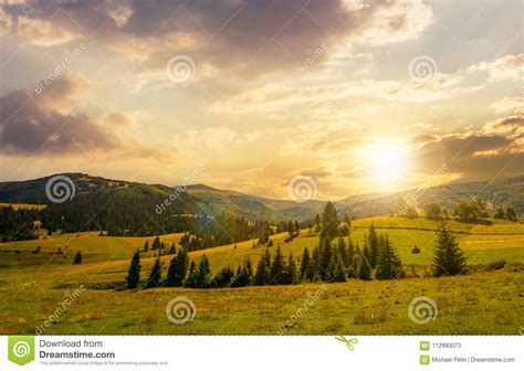 Beautiful Countryside Summer Landscape At Sunset Stock Image Image Of