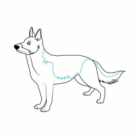 How To Draw A German Shepherd Two Step By Step