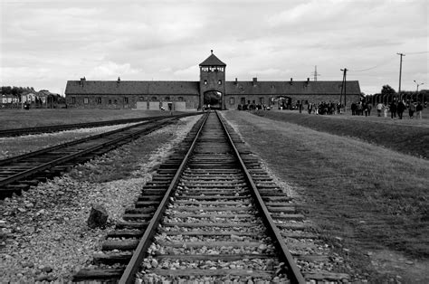 Że holokaust to nie zagłada żydów że holokaust (słowo) jest słowiańskiego pochodzenia że holokaust ii wojny światowej dotyczył przede wszystkim słowian, a nie żydów International Holocaust Remembrance Day | European Greens