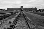 International Holocaust Remembrance Day | European Greens