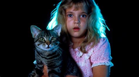 Los ojos del gato película recomendada por Stephen King