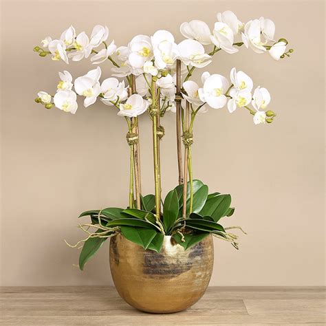 Silk Orchid Arrangement In Gold Vase Real Touch Orchids Vivian Rose