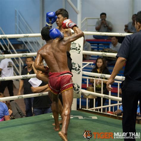 fighting thai tiger muay thai and mma training camp guest fights june 7 2013